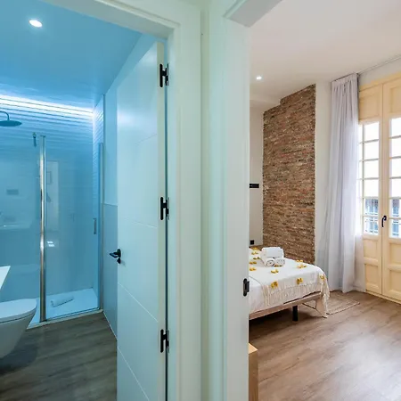 Apartment Iloftmalaga Pasaje Chinitas Malaga